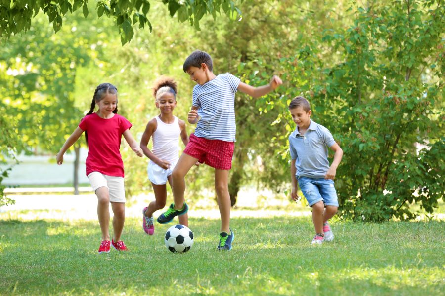 Is mosquito treatment safe? in Aberdeen, NC - Aberdeen Exterminating 