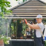 a man spraying pesticides ourdoors