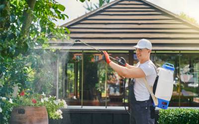 a man spraying pesticides ourdoors